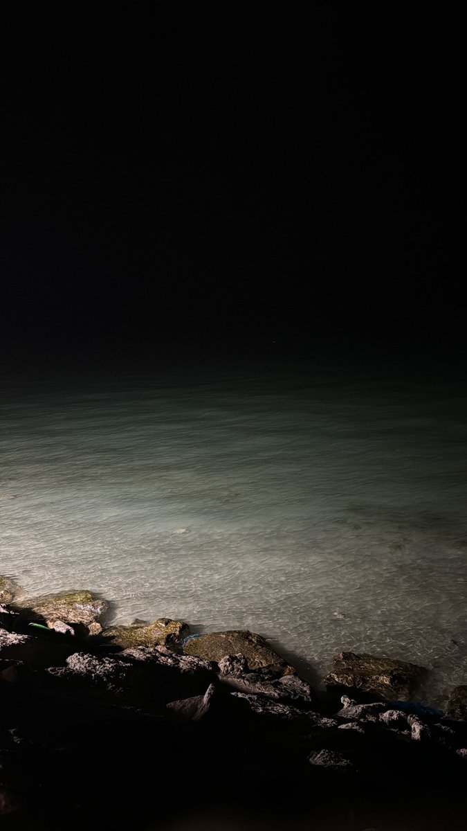 🌊