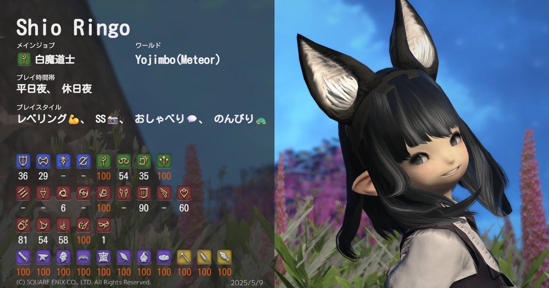 FF14 韓国限定 海外カフェ特典 しおり 全種類 FF14 韓国限定 海外カフェ特典 しおり 全種類
