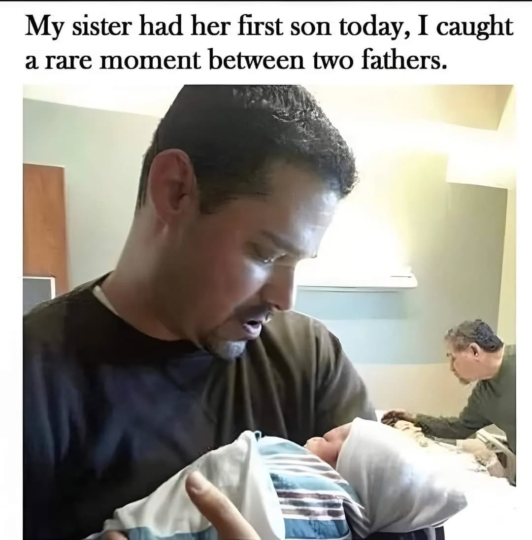 WolfofX's tweet photo. Dads

1. https://t.co/kn5gMPzOGe