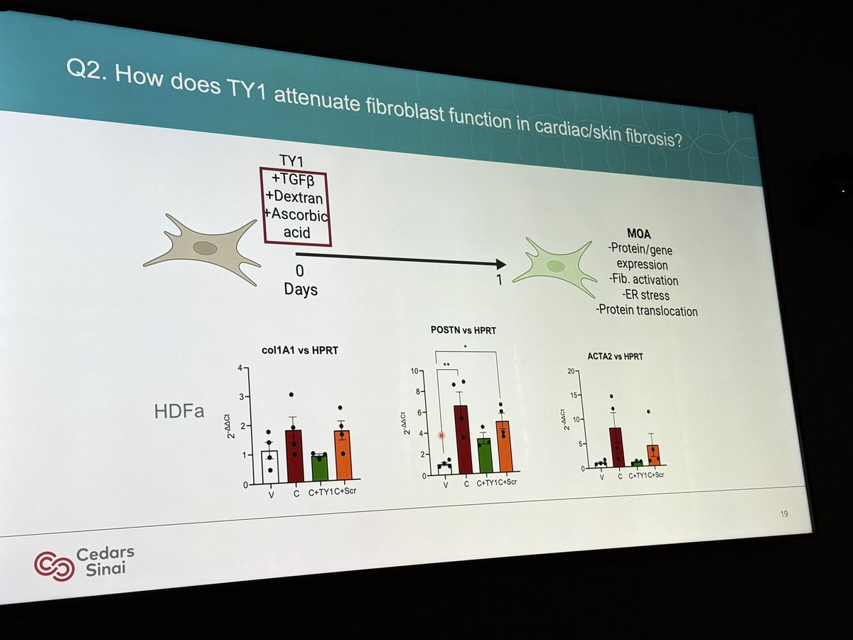 Eduardo Marban, MD, PhD (@marbanlab) on Twitter photo At today’s #labmeeting <a href="/joshuagoco/">Joshua Godoy Coto</a> discussed plans to check direct effects of #ncRNA drug TY1 on #fibroblasts in vitro and in preclinical #ischemic #cardiomyopathy. What role do macrophages play? At today’s #labmeeting <a href="/joshuagoco/">Joshua Godoy Coto</a> discussed plans to check direct effects of #ncRNA drug TY1 on #fibroblasts in vitro and in preclinical #ischemic #cardiomyopathy. What role do macrophages play?