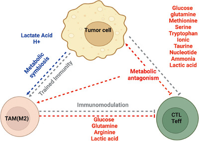Pelotonia Institute for Immuno-Oncology (@ohiostatepiio) on Twitter photo In a recent publication, researchers from <a href="/OhioStatePIIO/">Pelotonia Institute for Immuno-Oncology</a> & <a href="/nationwidekids/">Nationwide Children's Hospital</a> discuss how #metabolic interactions shape #immune responses in #tumors, underscoring the potential of targeting #metabolic_pathways to enhance #immunotherapy outcomes. pmc.ncbi.nlm.nih.gov/articles/PMC11…
<a href="/GangXin1/">Gang Xin</a> In a recent publication, researchers from <a href="/OhioStatePIIO/">Pelotonia Institute for Immuno-Oncology</a> & <a href="/nationwidekids/">Nationwide Children's Hospital</a> discuss how #metabolic interactions shape #immune responses in #tumors, underscoring the potential of targeting #metabolic_pathways to enhance #immunotherapy outcomes. pmc.ncbi.nlm.nih.gov/articles/PMC11…
<a href="/GangXin1/">Gang Xin</a>