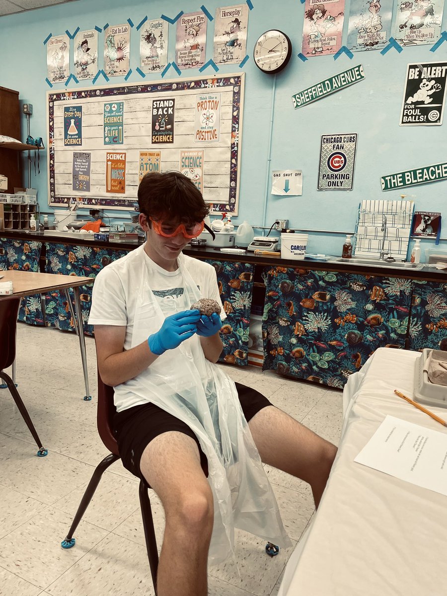 #emwolves Bio 2 class dissecting brains today.  Jonah has found his brain