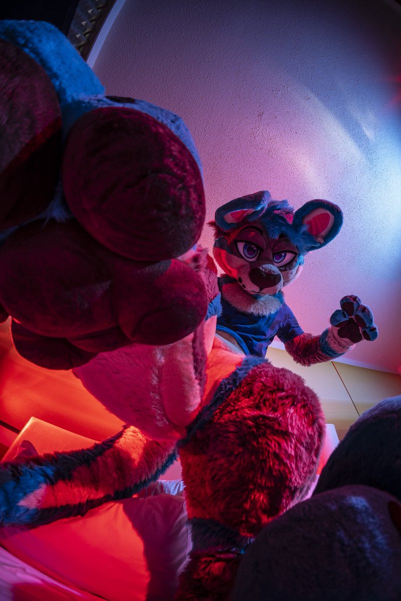 Dire Walf tweet media