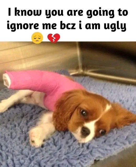 I know you are going to ignore me because I am ugly 🥺💔