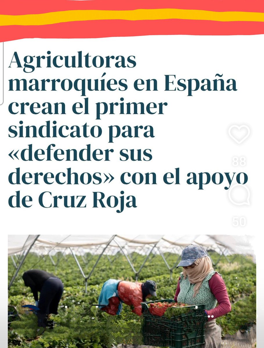 ‼️La Cruz Roja se encargará de facilitar su integracion