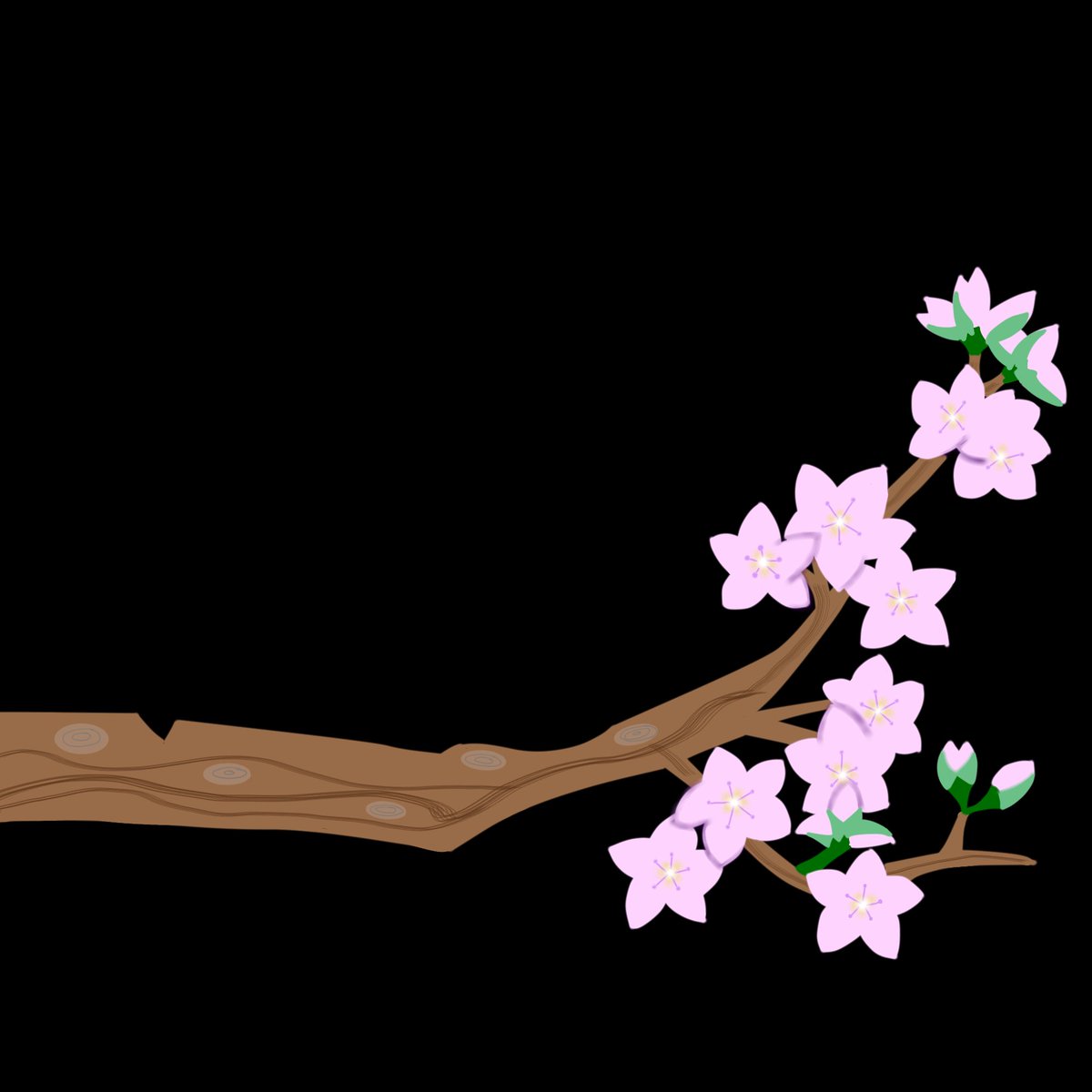 ✨📚ça teste des trucs📚✨