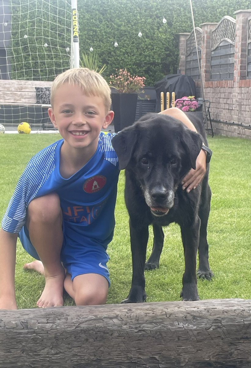 8 years of our Springer Spaniel. If we’re not throwing, hitting or kicking balls at each other, he’s pecking my head or sitting on top of it. Wouldn’t have it any other way. ⭐️🏏⚽️🩵