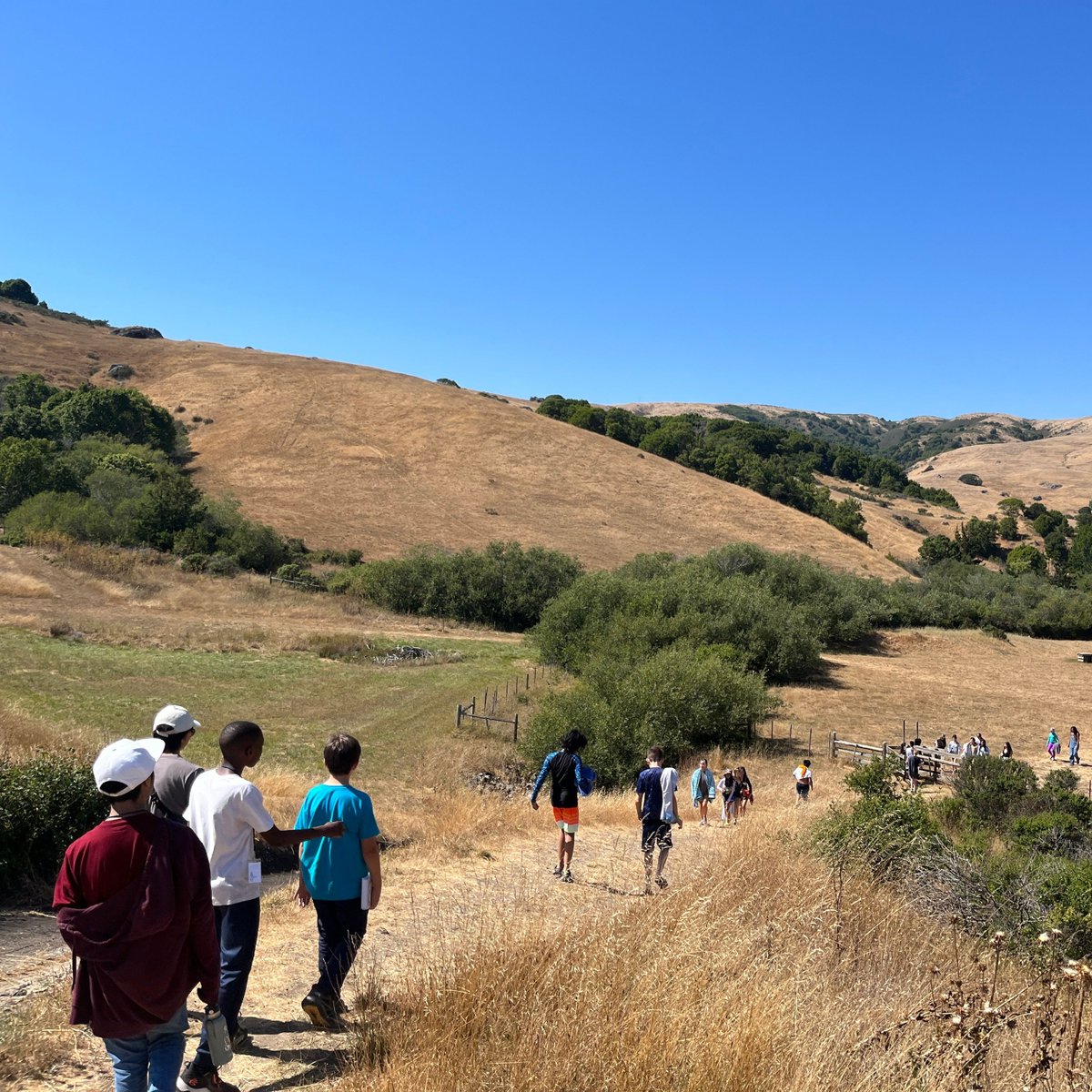 PEBCC's tweet photo. Summer Camp 2025 registration open: https://t.co/QS4jsBnF3O
No singing experience required 

📅 Session 1: July 21-July 26
📅 Session 2: July 28-August 2
📍 Walker Creek Ranch, Petaluma, CA
$1775/week, financial assistance available.

#summercamp #bayareacamp #bayareasummercamp https://t.co/tDyjMSheEt