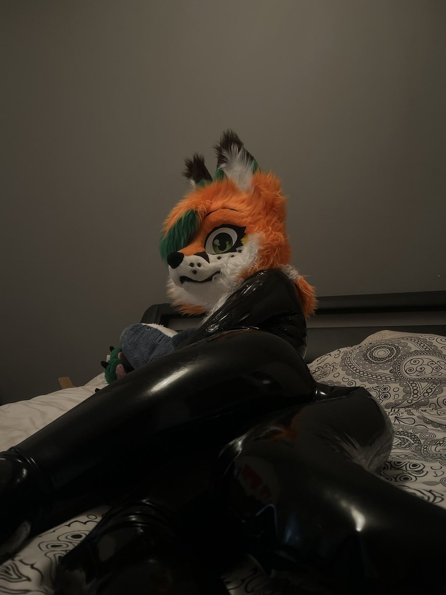 🐺💙 Crow 💚🦊 tweet media