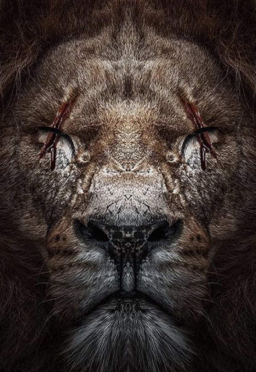 Tomi (@tomiwebstr) on Twitter photo 