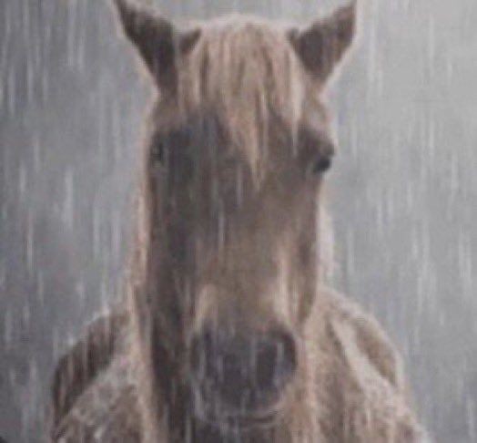 claraphobia's tweet image. tudo dando errado hoje
