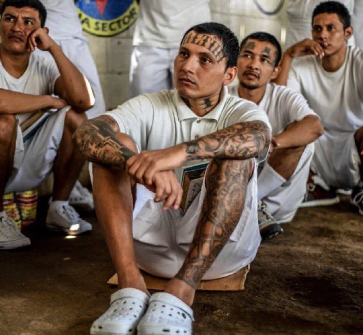 C_3C_3's tweet image. Amy Coney Barrett wanted these gang members to stay in America.

She is a major problem.