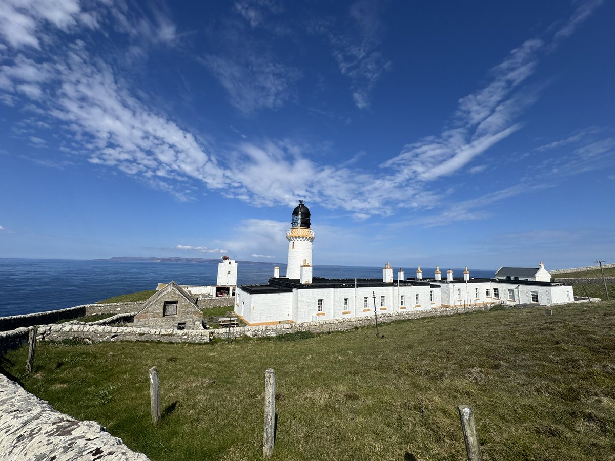 Steve Ferguson tweet media