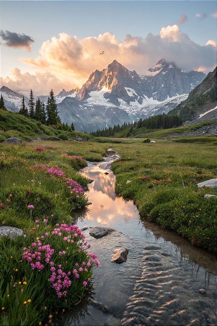 ᅠ ᅠ (@greendreaams) on Twitter photo 