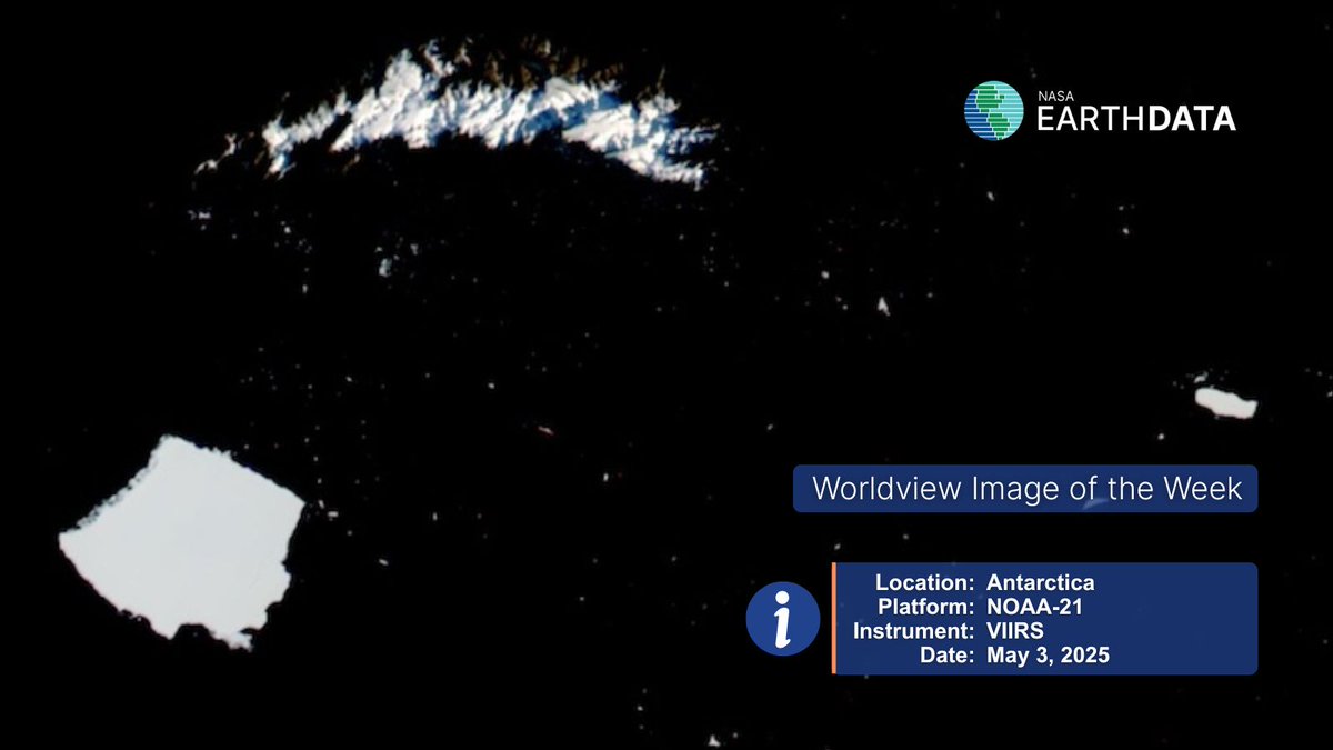 🌏 Worldview Image of the Week 🌍
The VIIRS instrument captured Icebergs A23A and A23C below South Georgia Island, Antarctica, on May 3. View before-and-after imagery to see A23C break from A23A at earthdata.nasa.gov/news/worldview…