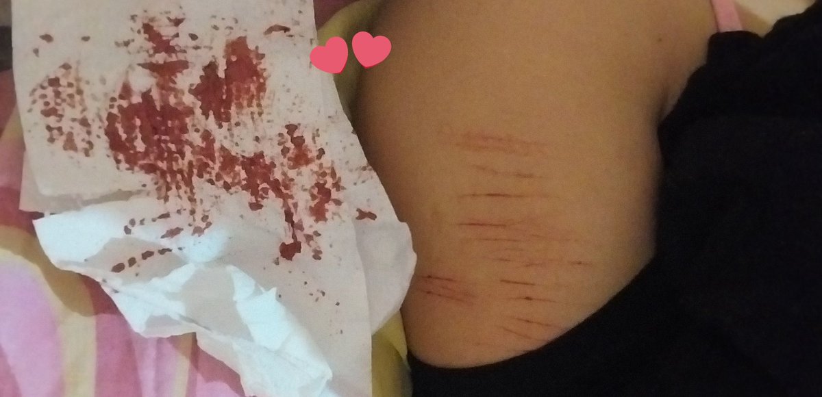 choc0ocake's tweet photo. parecen todos bbycuts ke rico siono https://t.co/7FYvPagJo2