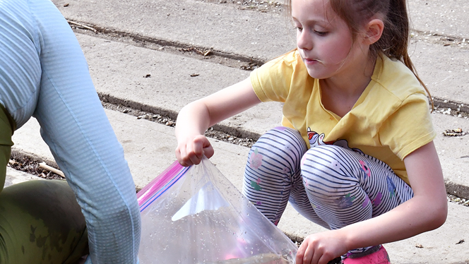 WalkerCharter's tweet photo. Walker Charter Academy students are raising salmon from egg to release through the Michigan DNR’s Salmon in the Classroom program, learning firsthand about ecosystems, conservation, and the Great Lakes.

Learn more: https://t.co/xxWnoKV7NP
#WalkerCharter #MichiganCharter https://t.co/9B6jgsFrO6