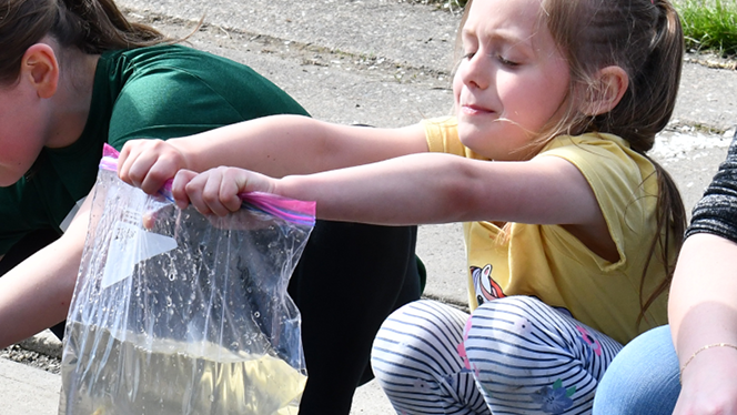 WalkerCharter's tweet photo. Walker Charter Academy students are raising salmon from egg to release through the Michigan DNR’s Salmon in the Classroom program, learning firsthand about ecosystems, conservation, and the Great Lakes.

Learn more: https://t.co/xxWnoKV7NP
#WalkerCharter #MichiganCharter https://t.co/9B6jgsFrO6