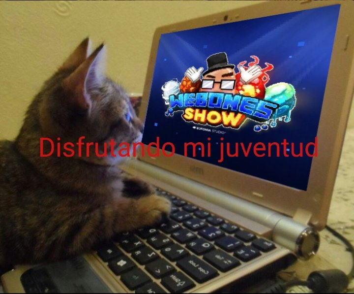 WebonesMC's tweet photo. ¡DÍA 8 DE #WebonesShow!

Hagan como este gatito y disfruten de la serie 🤩

¡YA EN VIVO! https://t.co/94D6ETrDRq