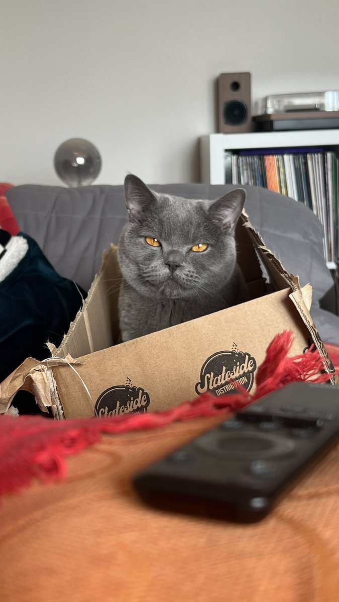 I’m the spare human, if you could tell