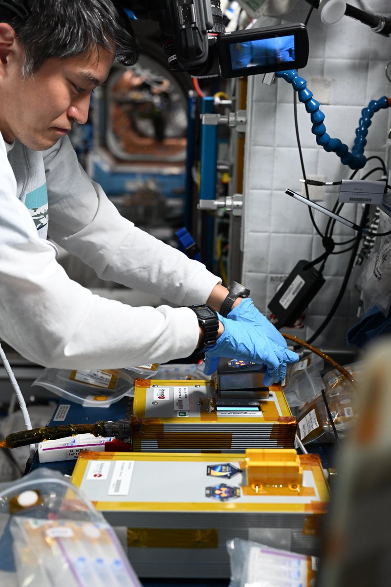 今日はNASAのDNA Nano Therapeuticsという研究の2回目デモミッションの作業を担当。
DNAを模倣したナノマテリアルの宇宙空間での製造実証ということらしいのですが、守備範囲外すぎて実験概要読んでも全然理解できませんでした🤯
私が担当したのは、サンプルの分光光度計での分析と超音波処理です🤯