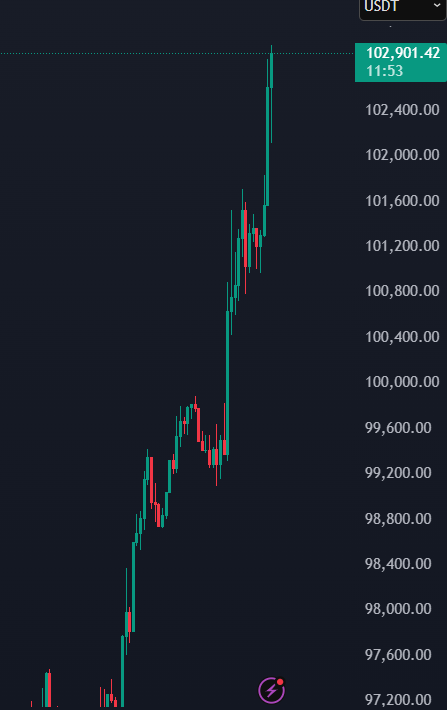 K A L E O tweet media