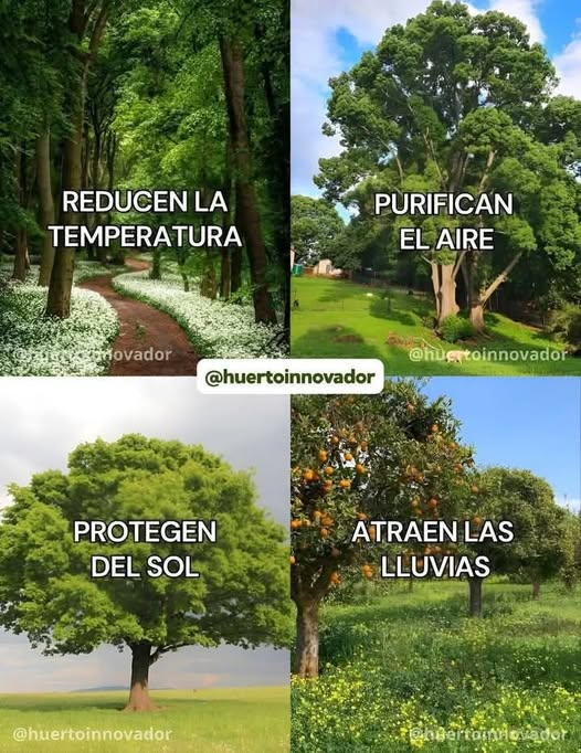 Ponlededo's tweet photo. Y en #Culiacán para cuándo se hace algo serio al respecto?  @JuandDiosGamez #Sinaloa https://t.co/owawSwtwwi