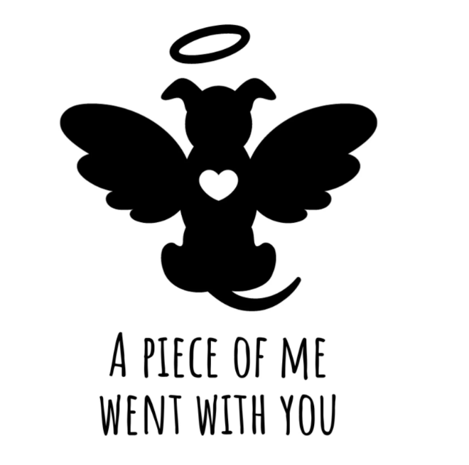 mapleveewesem's tweet photo. 💔😭💔She only needed 1 person to want her.
No one came. MAISY is gone. I'm broken.
You deserved comfort &amp; love in your final days, and a hand to hold your paw as you crossed. We failed.
You can see &amp; move freely again. Run free sweet angel. 
😇#A5692394 🌈 https://t.co/GasaFVYZJa