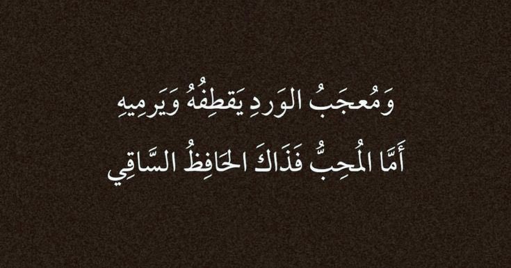 بيت شعر عربي كل يوم (@arabicpoet0) on Twitter photo 