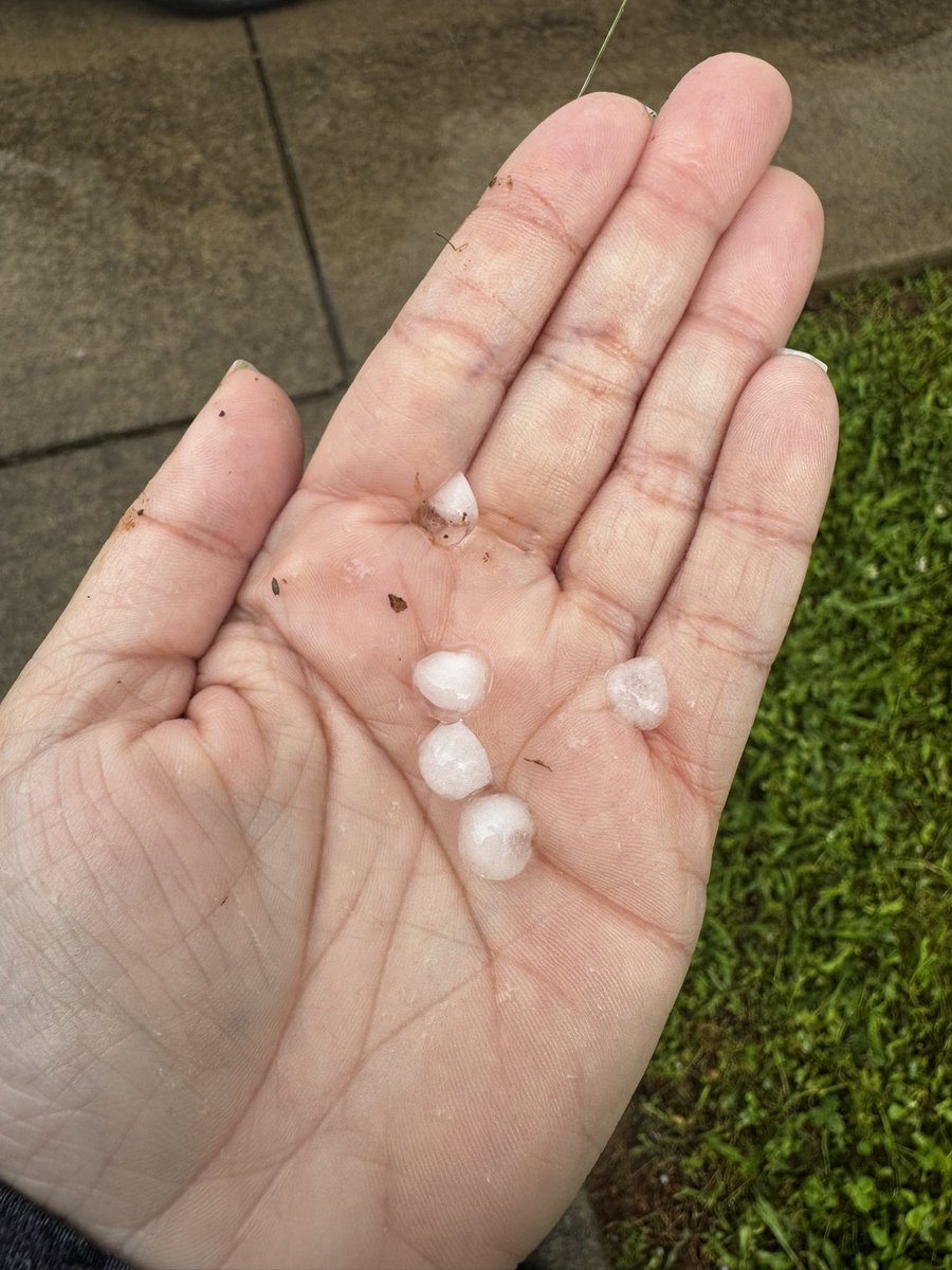 Kelyn Denton (@kelyndenton) on Twitter photo Pea size hail in Walterhill. <a href="/RuthSevereWx/">RuthSevereWx</a> <a href="/RuCoWeather/">Rutherford Weather</a> <a href="/MboroSevereWx/">Murfreesboro Weather</a> <a href="/DanielleBreezy/">Danielle Breezy</a> Pea size hail in Walterhill. <a href="/RuthSevereWx/">RuthSevereWx</a> <a href="/RuCoWeather/">Rutherford Weather</a> <a href="/MboroSevereWx/">Murfreesboro Weather</a> <a href="/DanielleBreezy/">Danielle Breezy</a>