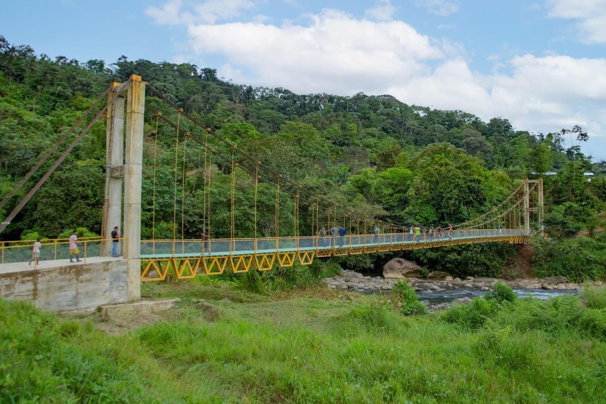 PatinoJuanD's tweet photo. ¡Tenemos puentes! 🌉
Finaliza la construcción de dos puentes peatonales ubicados en Caja de Oro Y Bajo Gitó, zona indígena de Pueblo Rico 👧🏽👦🏾

🎉 Esta inversión de $1.900 millones beneficia a más de 3.800 risaraldenses. Gracias a la gestión que realizamos ante el Gobierno Nacional logramos este maravilloso resultado.