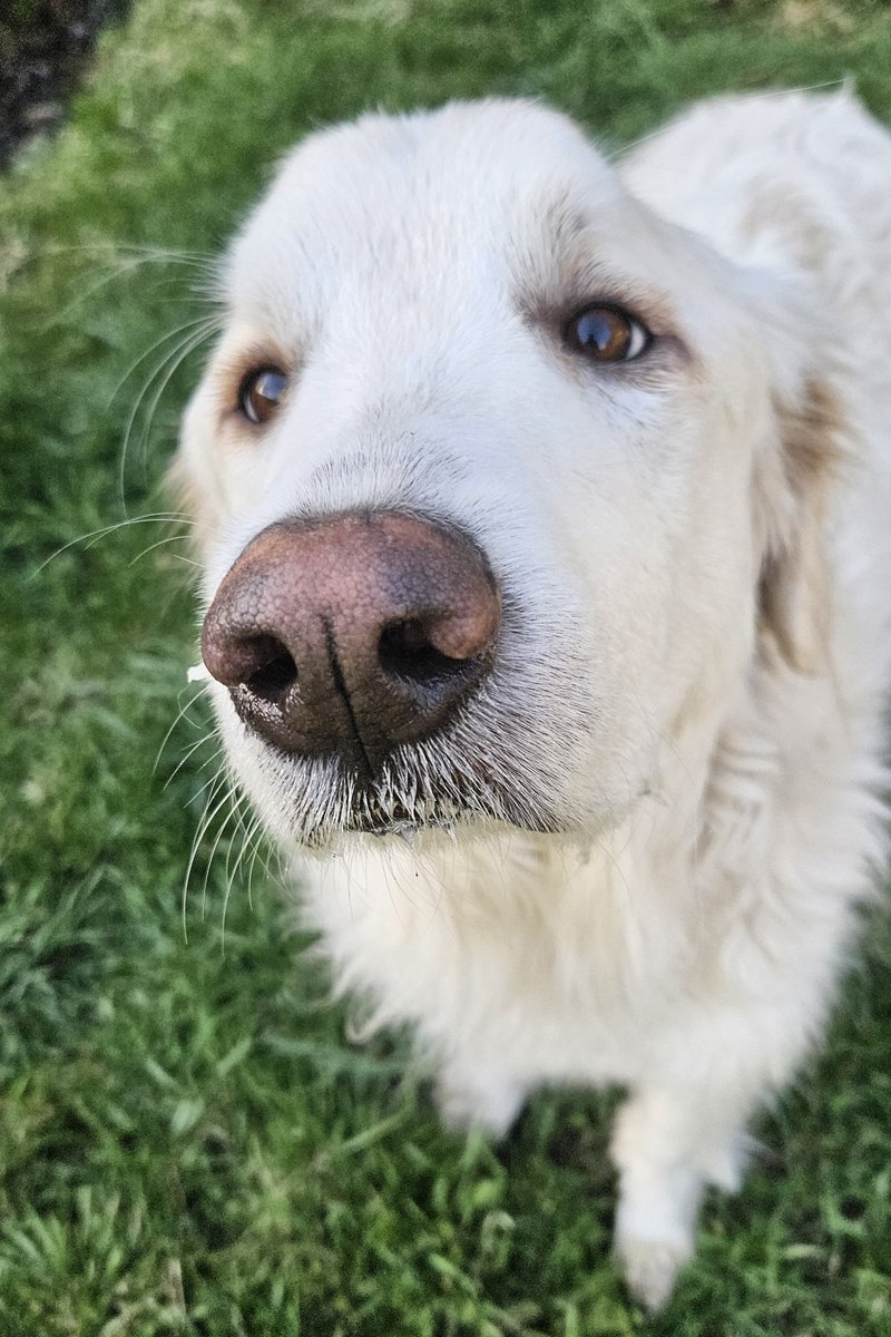 Nicole from BC🇨🇦 tweet media