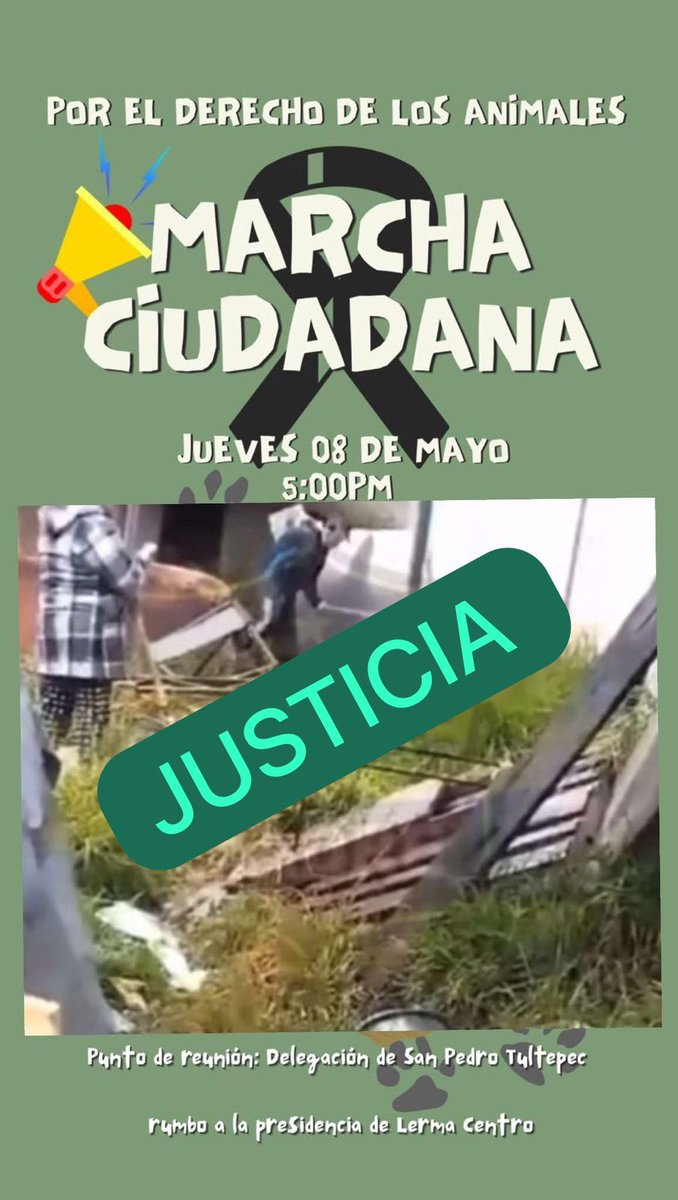 LicAnimalista's tweet photo. Activistas de San Pedro Tultepec y Lerma , Edomex, no falten a la marcha para exigir apliquen Ley a los criminales que asesinaron a un perro en Lerma. @delfinagomeza los animales necesitan  hechos y menos dichos. Atención @FiscaliaEdomex urge la creación de una fiscalía especial https://t.co/Fb7seSpCKW