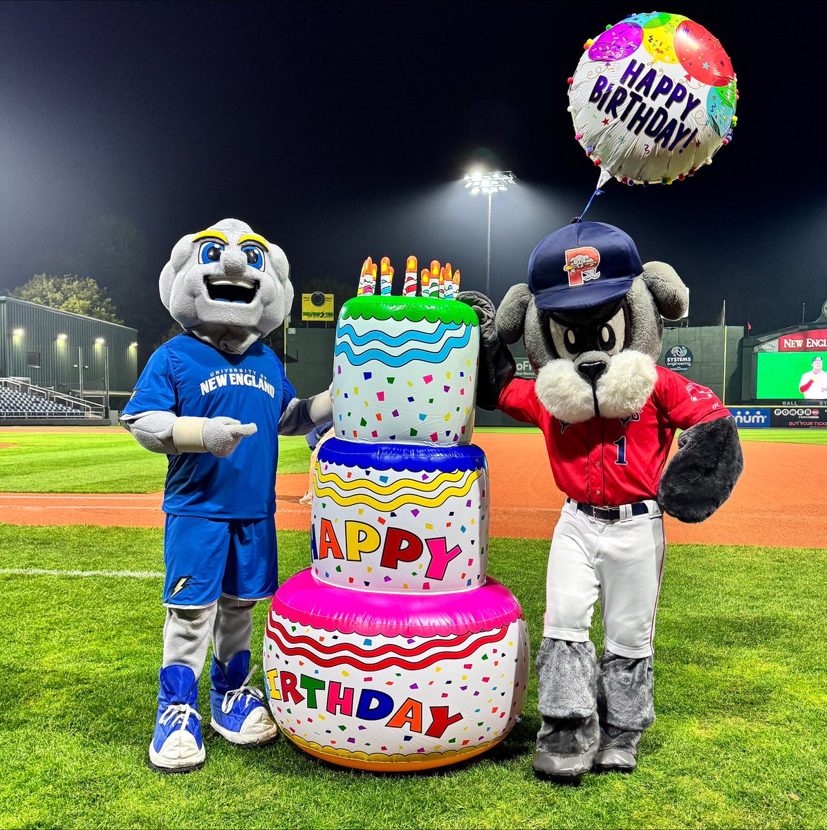 UNE Athletics (@unesports) on Twitter photo Stormin' Norman joined in on the fun last night at <a href="/Slugger_SeaDog/">Slugger The Sea Dog</a>'s birthday party! 🥳
Thanks for the invite, <a href="/PortlandSeaDogs/">Portland Sea Dogs</a>!
#WeAreUNE | #StormOn Stormin' Norman joined in on the fun last night at <a href="/Slugger_SeaDog/">Slugger The Sea Dog</a>'s birthday party! 🥳
Thanks for the invite, <a href="/PortlandSeaDogs/">Portland Sea Dogs</a>!
#WeAreUNE | #StormOn