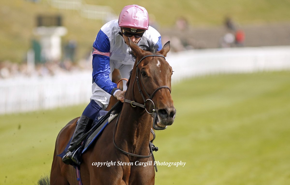 Steven Cargill (@steven_cargill) on Twitter photo 2nd win for filly LADY VIVIAN <a href="/HectorCrouch/">Hector Crouch</a> in 12f 3yo handicap <a href="/ChesterRaces/">chesterraces</a> today for <a href="/coolmorestud/">Coolmore</a> Camelot <a href="/RalphBeckett/">Ralph Beckett</a> 2nd win for filly LADY VIVIAN <a href="/HectorCrouch/">Hector Crouch</a> in 12f 3yo handicap <a href="/ChesterRaces/">chesterraces</a> today for <a href="/coolmorestud/">Coolmore</a> Camelot <a href="/RalphBeckett/">Ralph Beckett</a>