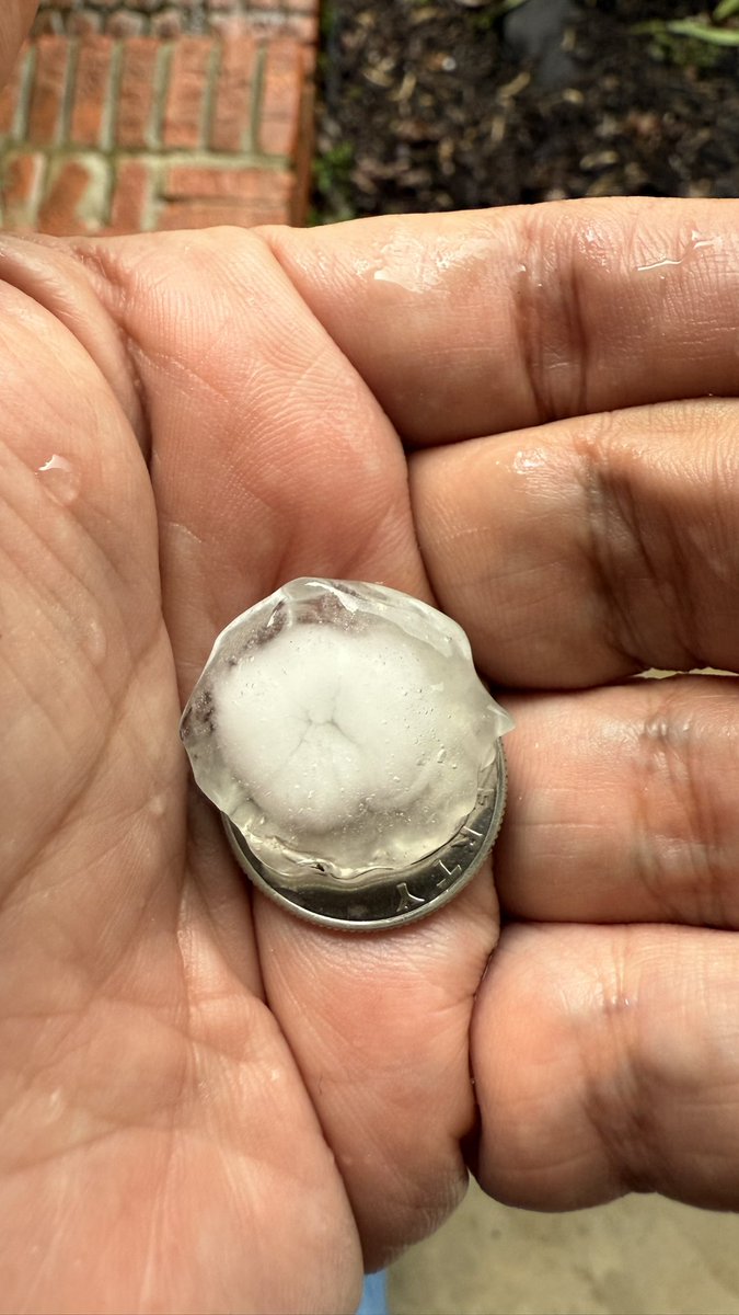 AddTheWOW's tweet image. Just now in Norene Tennessee (South Lebanon) quarter size hail!