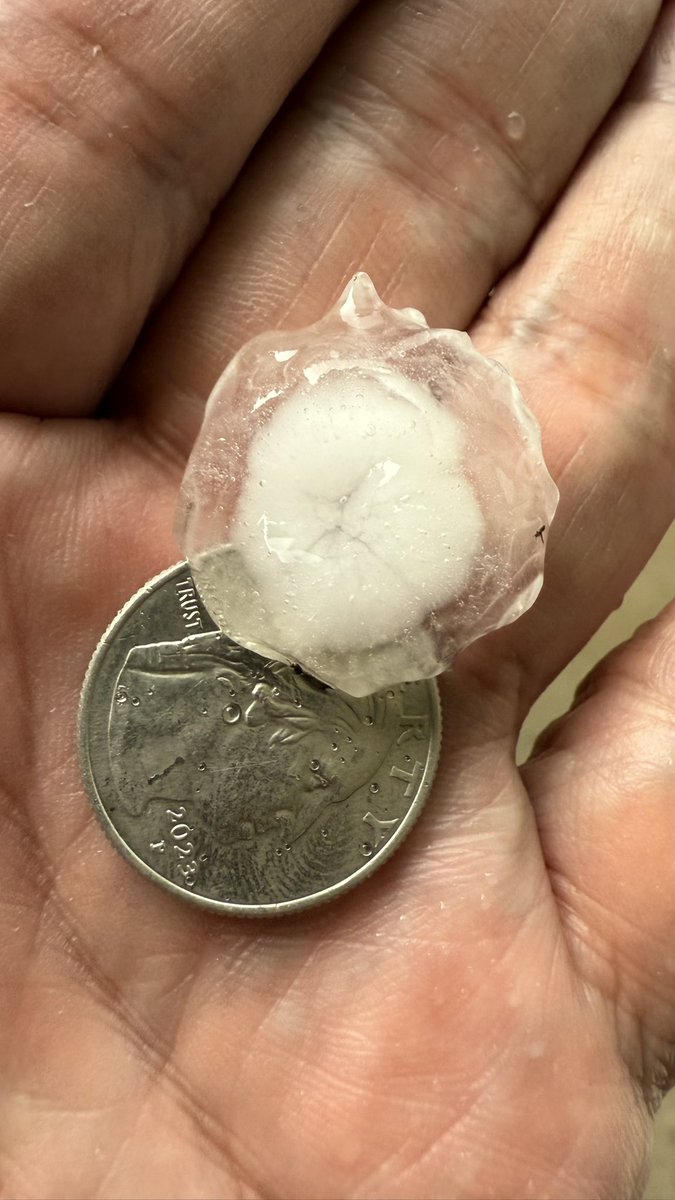AddTheWOW's tweet image. Just now in Norene Tennessee (South Lebanon) quarter size hail!