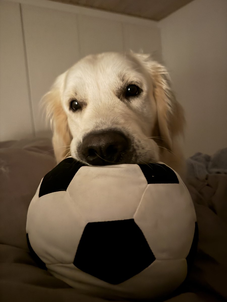 Zrool 尔 tweet media