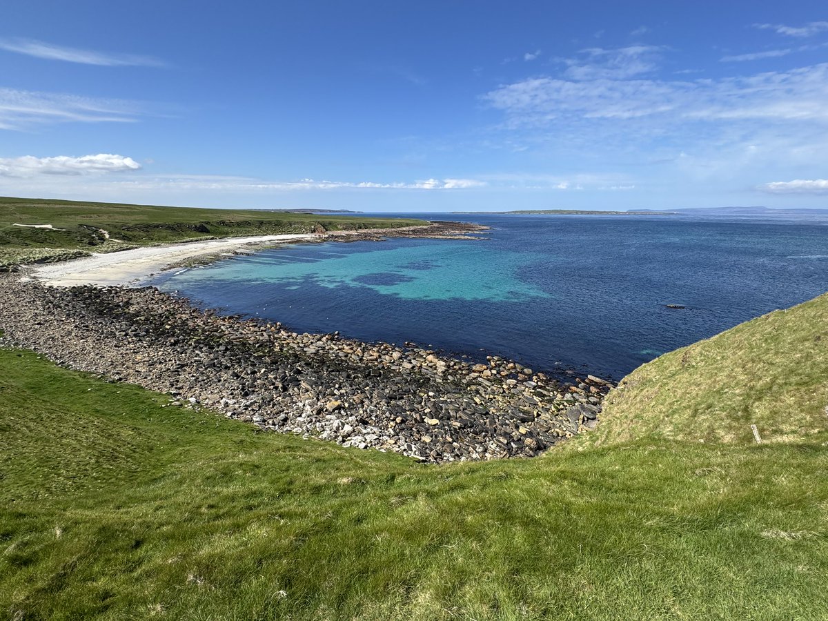 Steve Ferguson tweet media