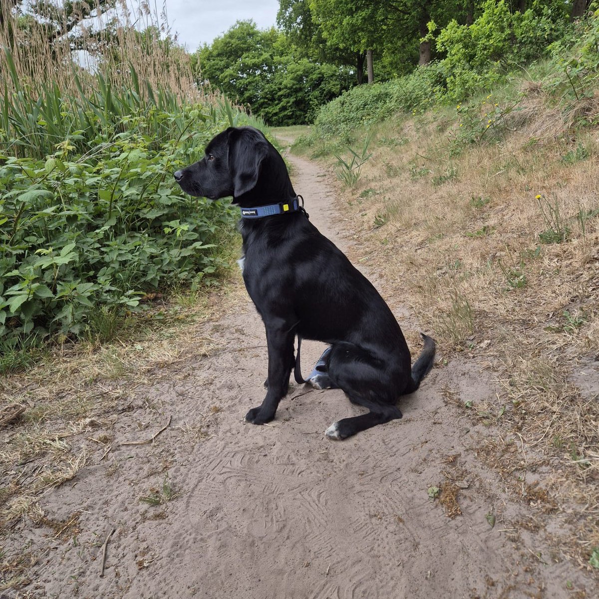 Ad en Lieneke tweet media