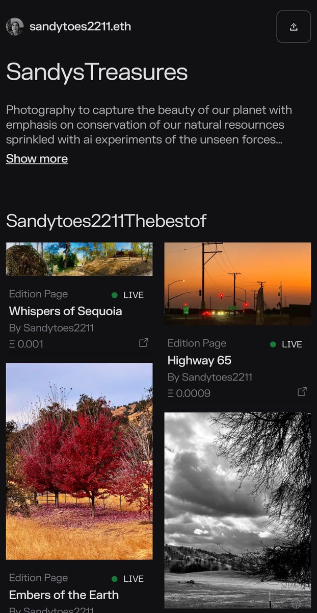 Sandytoes2211ᴺᶠᵀ tweet media