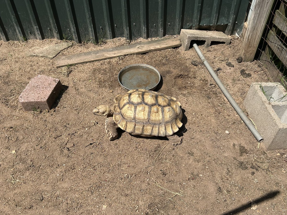 Beautiful day <a href="/blessingtonfarm/">Blessington Farms</a> today!!  
<a href="/OLE_Leopards/">Leonard Elementary</a>