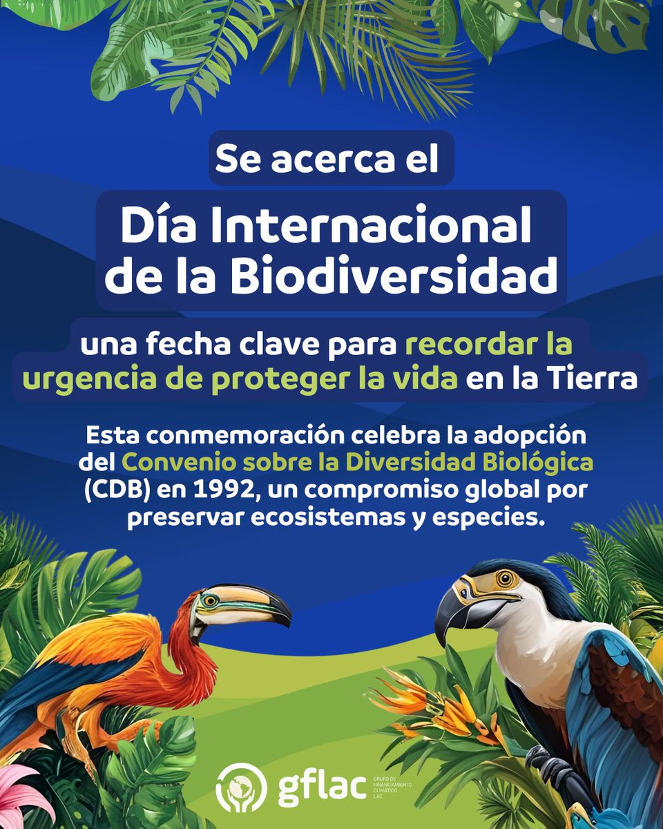 GrupoGFLAC's tweet photo. 🌿 ¡Se acerca el Día Internacional de la Biodiversidad! 🌎✨

Una oportunidad clave para reflexionar sobre la urgencia de proteger la vida en el planeta y fortalecer el compromiso global por la naturaleza. https://t.co/yk1yv5Dv7m