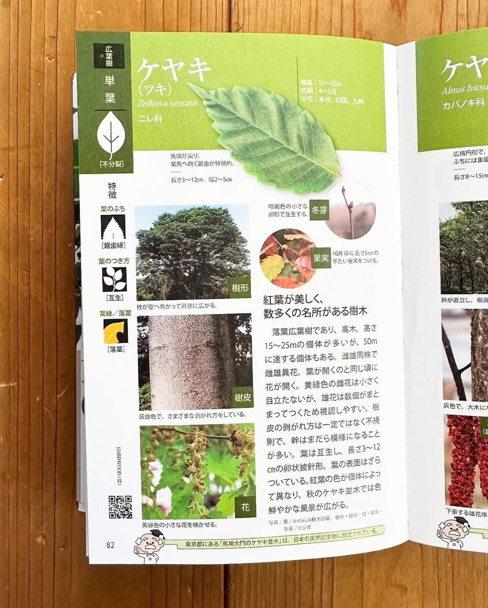 樹木医学 樹木医学 | 鈴木 和夫 |本 | 通販 | Amazon