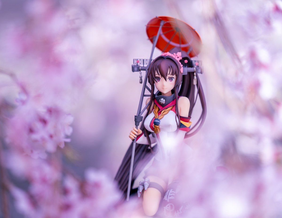 大和桜