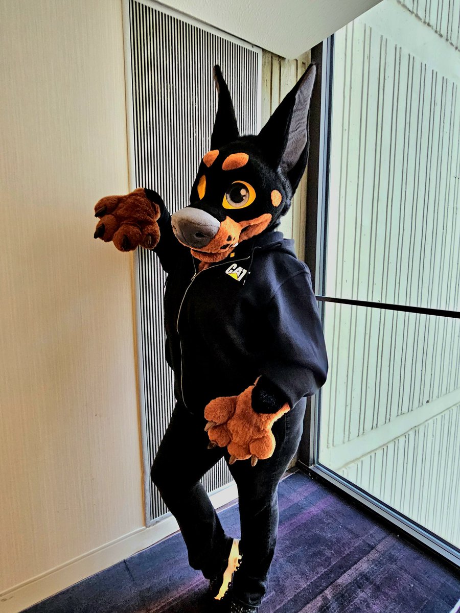 monster cat tweet media