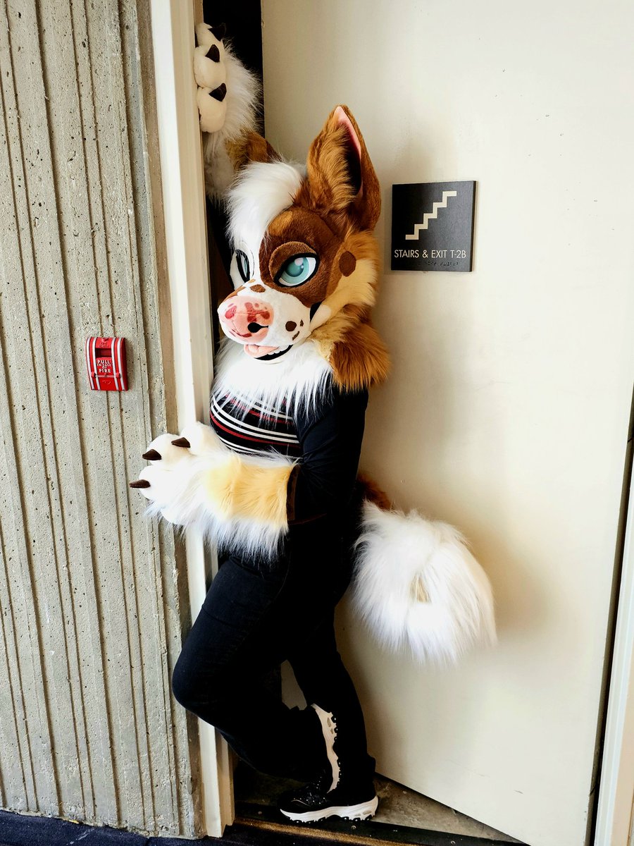 monster cat tweet media