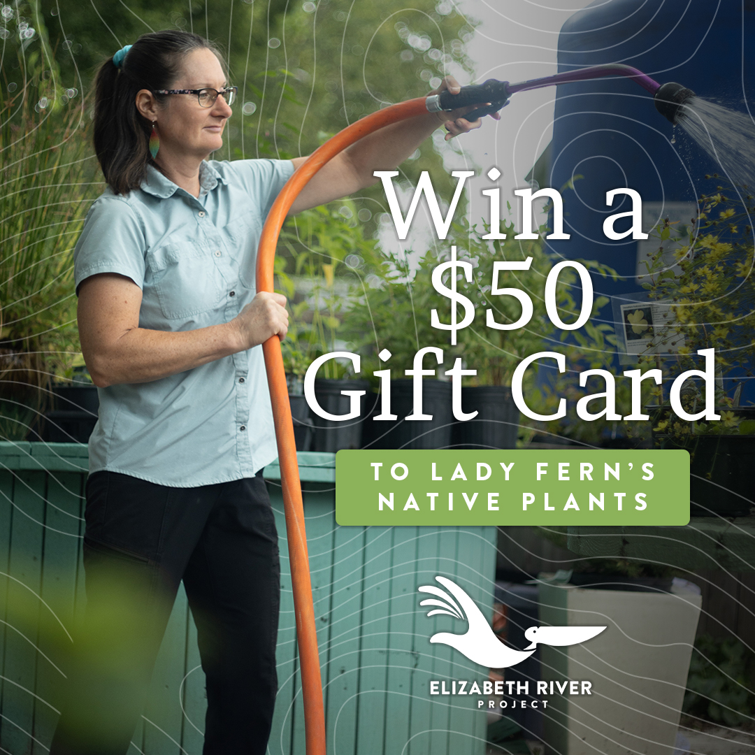 Give $35 or more during May, and you'll be entered to win a $50 gift card from Lady Fern’s Native Plants 🌼 Your donation will support efforts to provide a welcoming home for river wildlife – from otters &amp; dolphins, to seahorses &amp; pelicans. Learn more: brnw.ch/21wSvYK