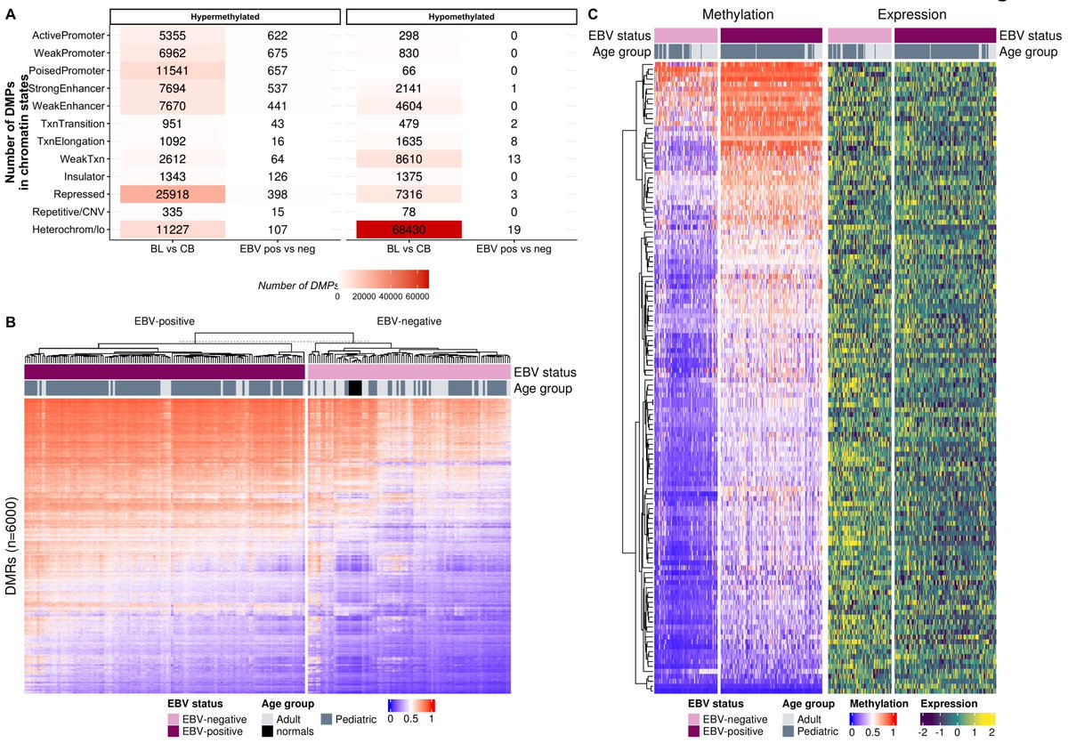 Manel Esteller tweet media