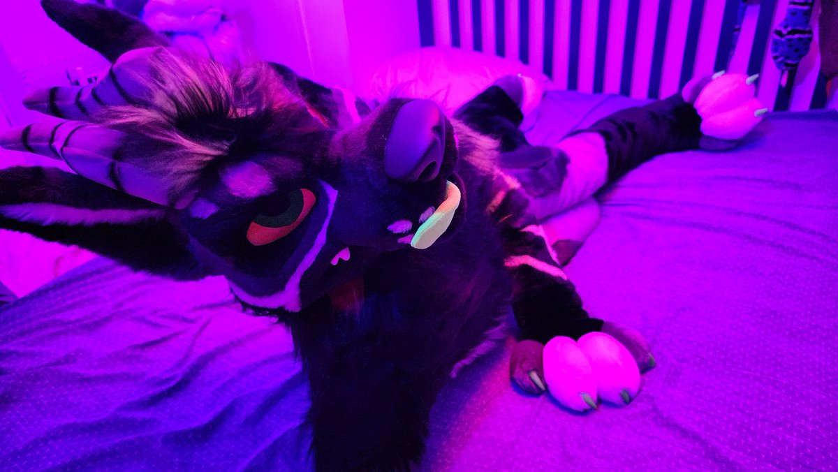 Ah, let's join the bandwagon here

Smash or Pass? 

#smashorpass #fursuit #LatexFur